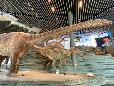 Shanghai Nature Museum