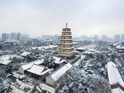 Giant Wild Goose Pagoda Xi'an