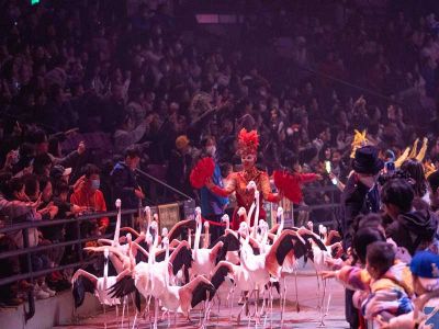 Guangzhou Chimelong International Circus Ticket Office