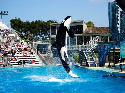 Shenzhen Ocean World