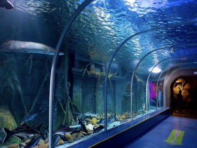 Shenzhen Ocean World