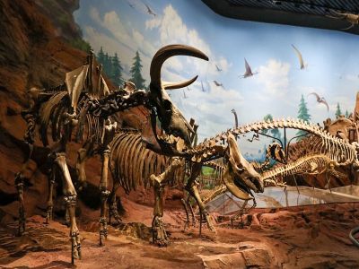 China’s Chengjiang Fossil Site Museum