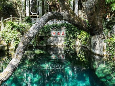 Butterfly Spring Dali Hu Die Quan