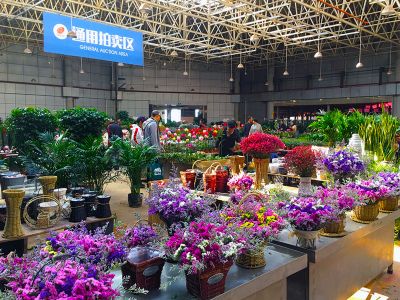 Kunming Flowers and Birds Market