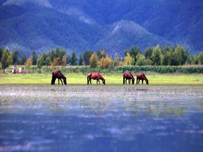 Lashihai Wetland Park in Lijiang