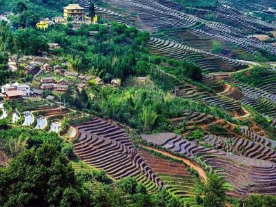 14-day Yunnan Tea and Coffee Business Trip Kunming to Puer Lincang