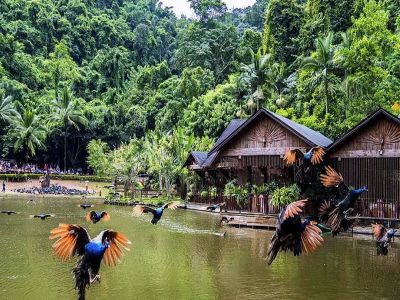 Xishuangbanna Tropical Rain Forest