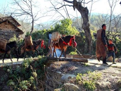 10-day Yunnan Ancient Tea Horse Road Highlights Tour Kunming to ShangriLa Lugu Lake