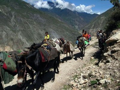 The Ancient Tea Horse Road of Yunnan