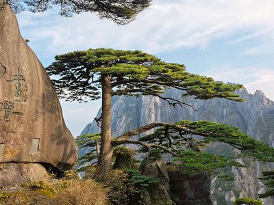 Mount Huangshan Yellow Mountain UNESCO Global Geopark