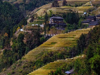 Longji Jinkeng Dazhai Rice Terraces and Yao Village