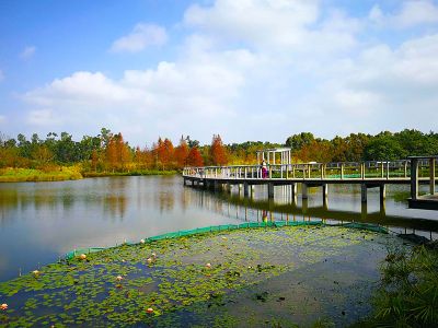 Hong Kong Wetland Park