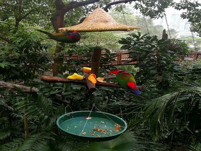 Hong Kong Zoological and Botanical Gardens