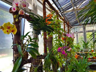 Kadoorie Farm and Botanic Garden