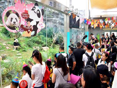 Macao Giant Panda Pavilion